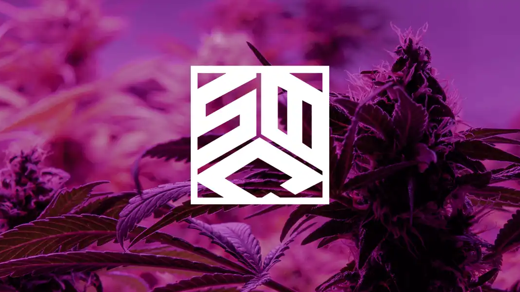 Small Bach Collection