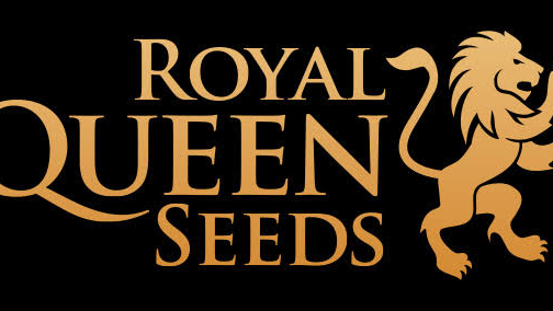 ROYAL QUEEN SEEDS