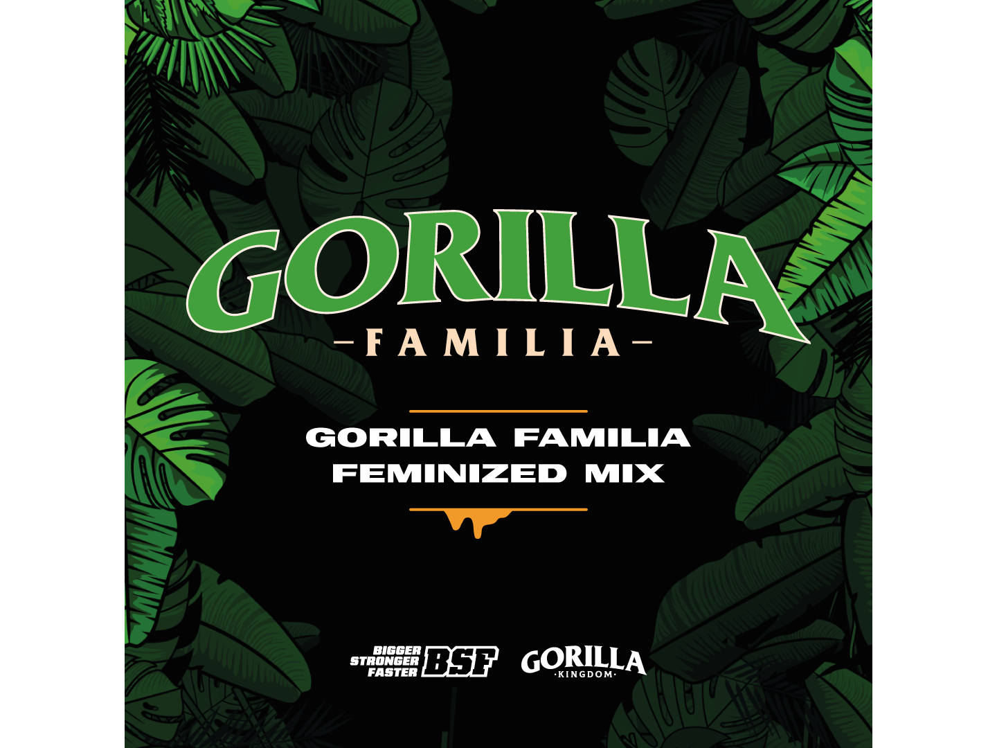 GORILA FAMILIA (MIX X12)