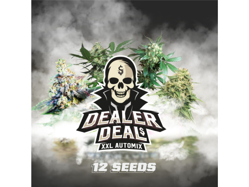 DEALER DEAL XXL (AUTOMIX X12)