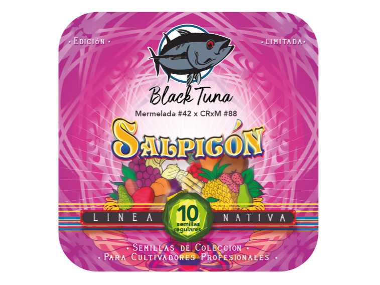 SALPICÓN