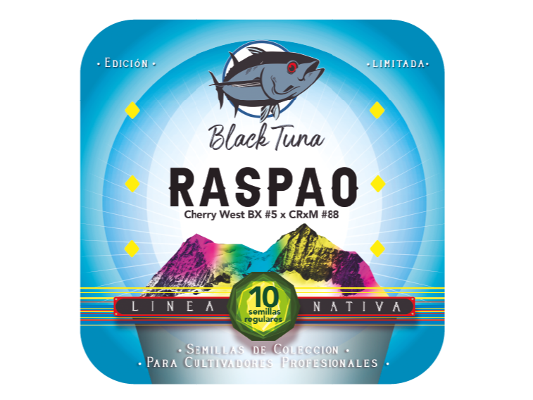 RASPAO