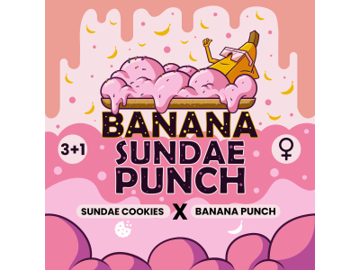 BANANA SUNDAE PUNCH