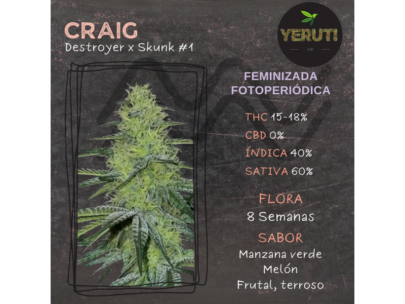 CRAIG ( YERUTTI SEEDS ) X4