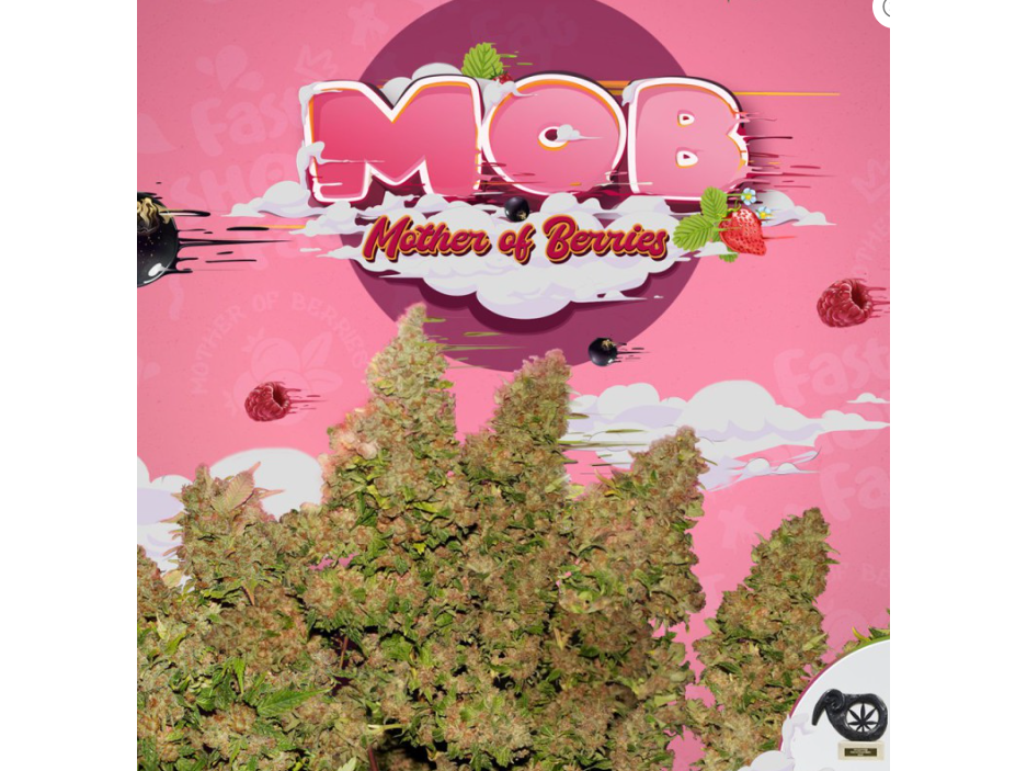 MOB (x2)