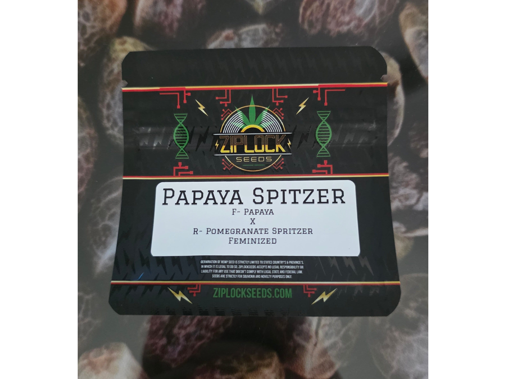 PAPAYA SPITZER