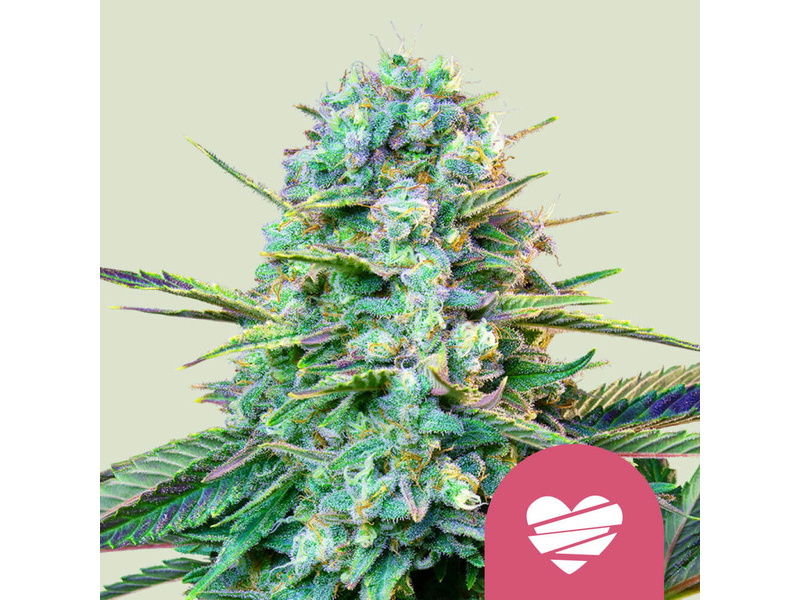 WEEDING CRASHER