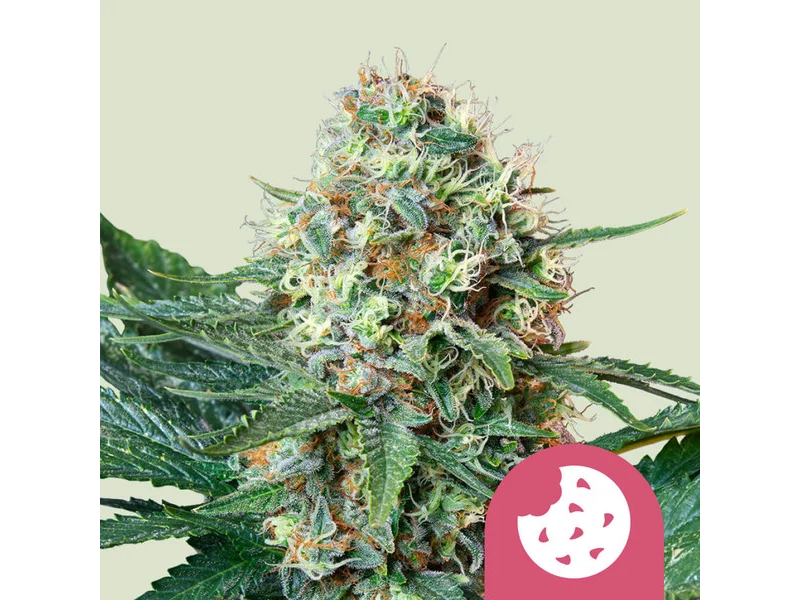 ROYAL COOKIES