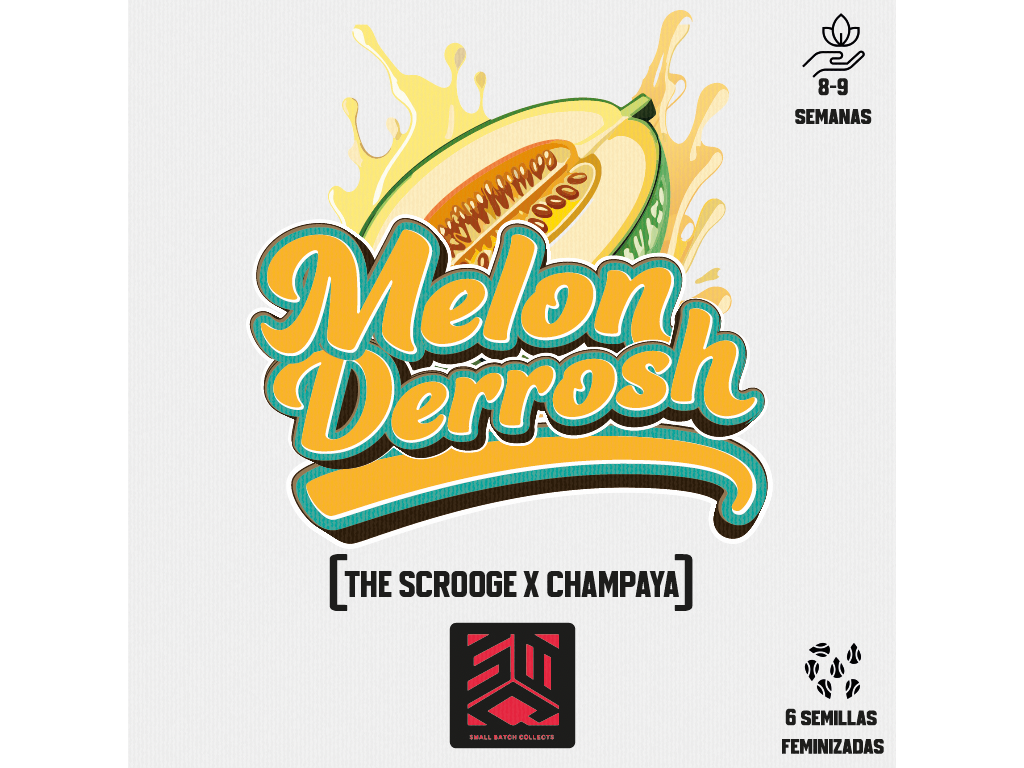 MELON DERROSH X6