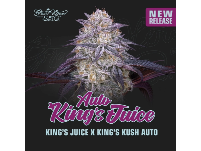 KING'S JUICE AUTO