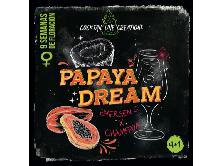 PAPAYA DREAMS