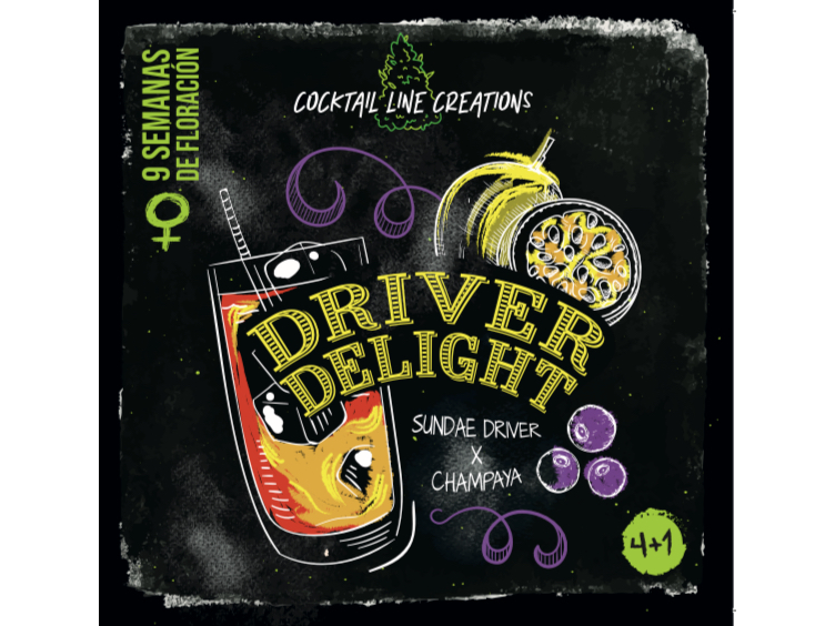 DRIVER DELIGHT