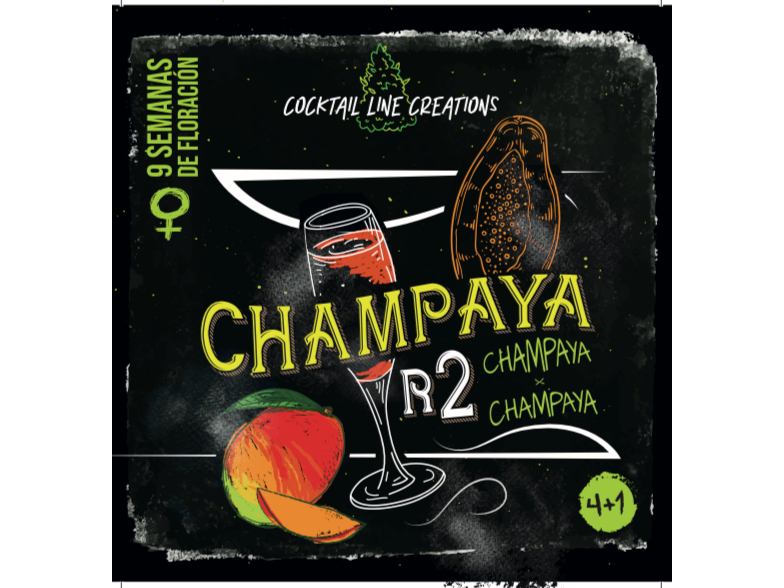 CHAMPAYA R2