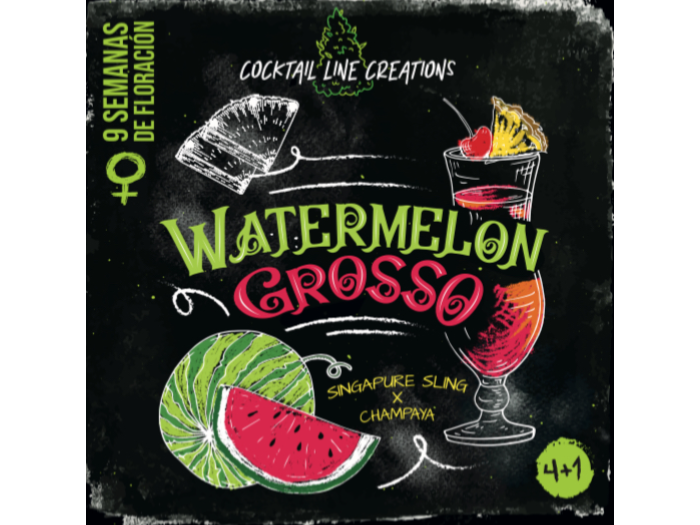 WATERMELON GROSSO