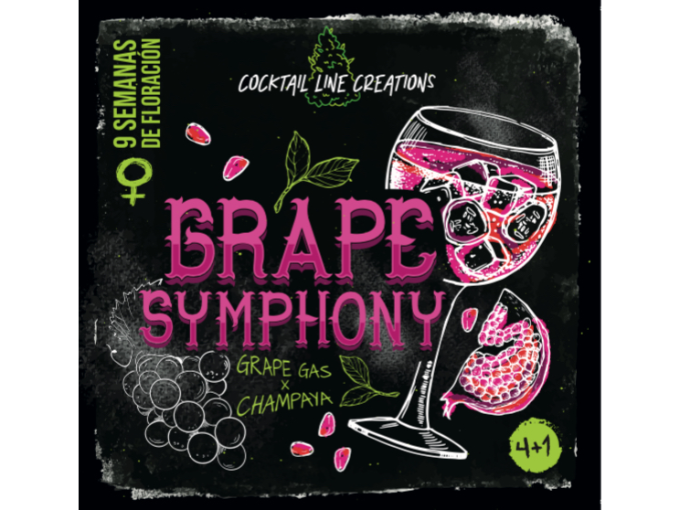 GRAPE SYMPHONY