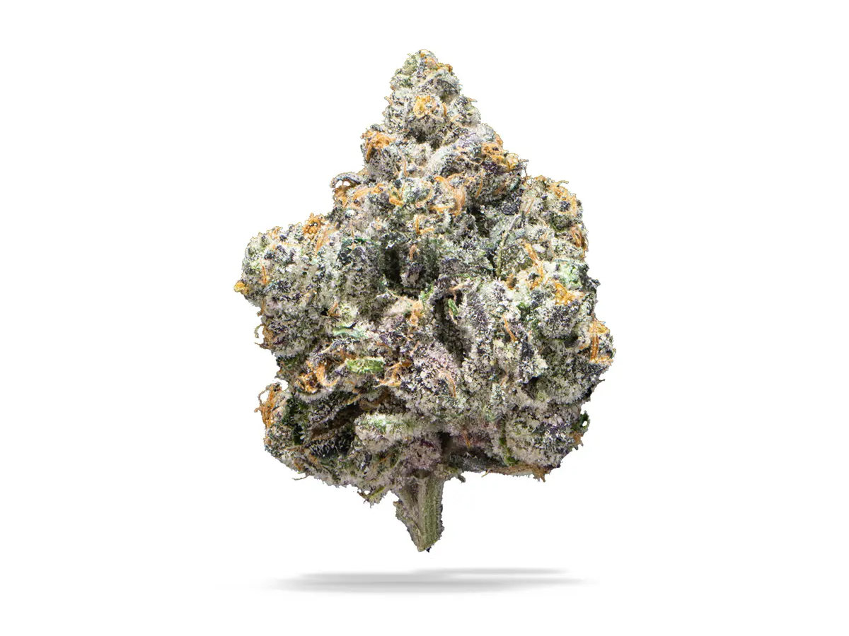 SWEET PURE FOTO  CBD