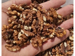 NUEZ MARIPOSA COBRIZA