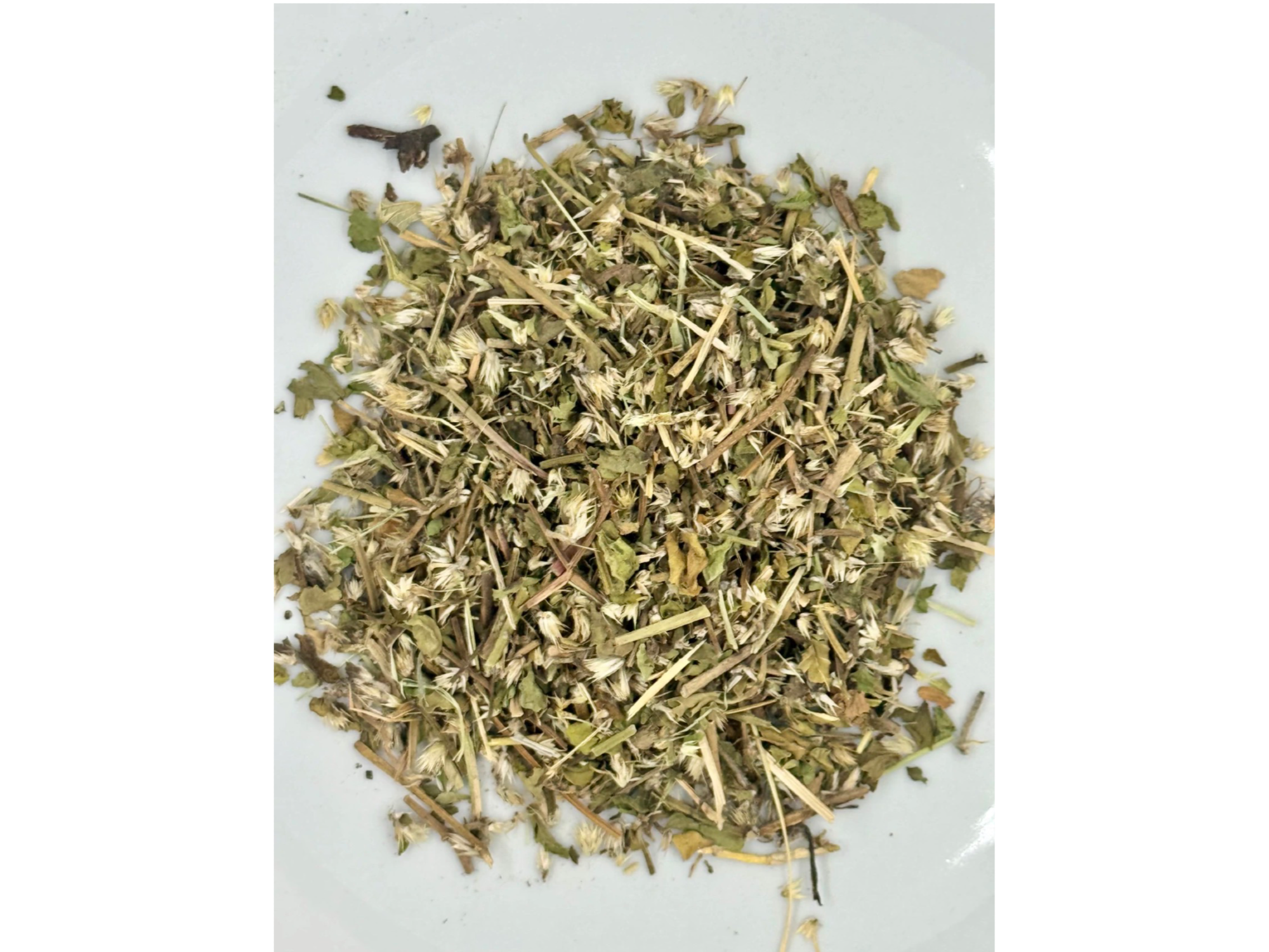 Yerba del pollo