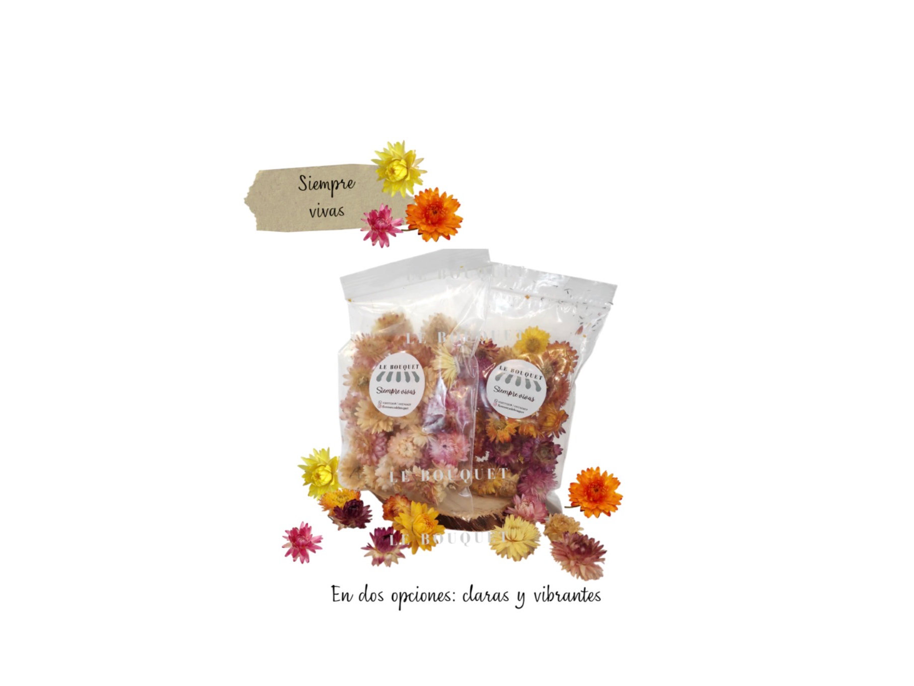 Flores siempre vivas