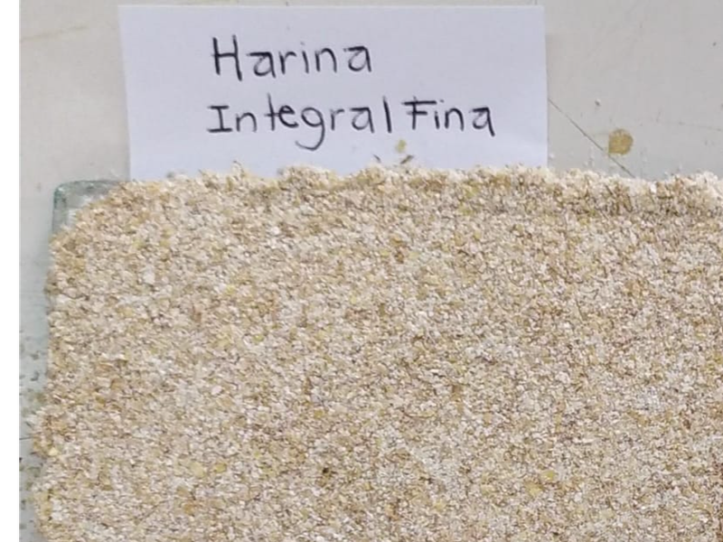 HARINA INTEGRAL FINA
