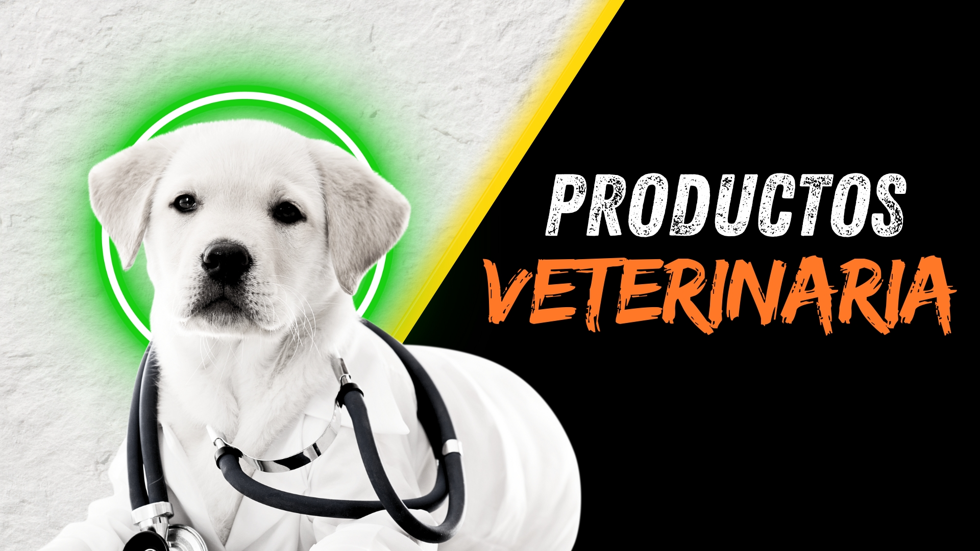 PRODUCTOS VETERINARIOS