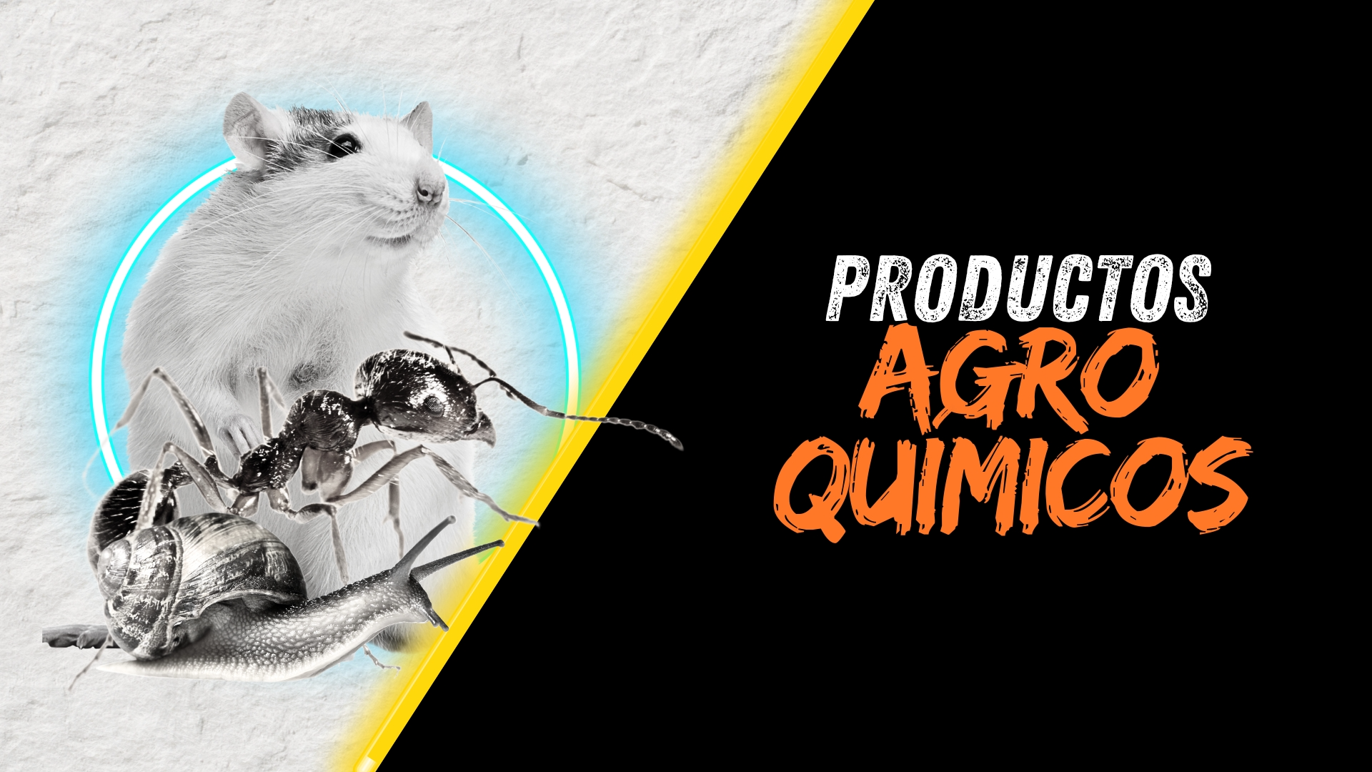 AGRO-QUIMICOS