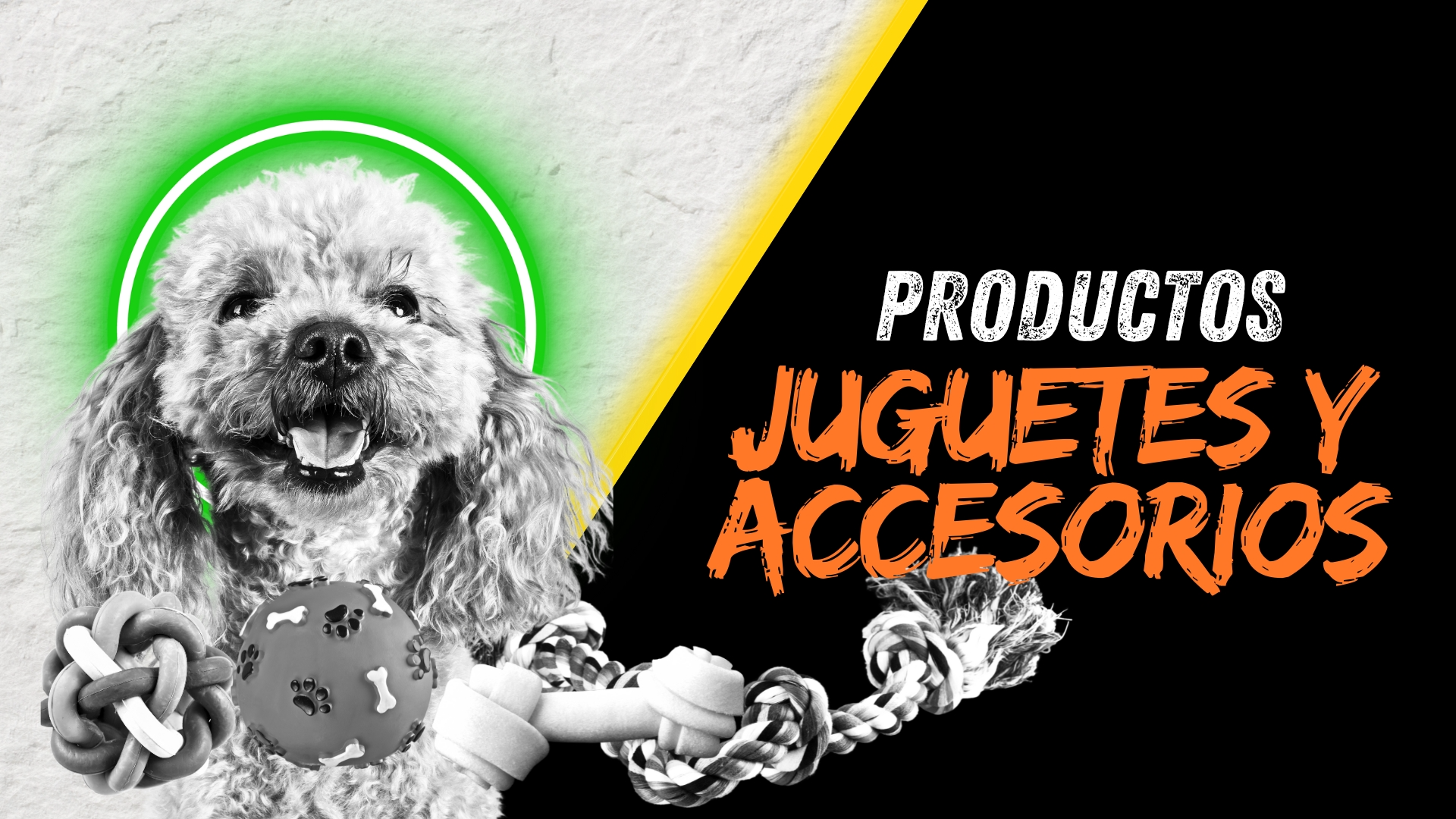 JUGUETES Y ACCESORIOS