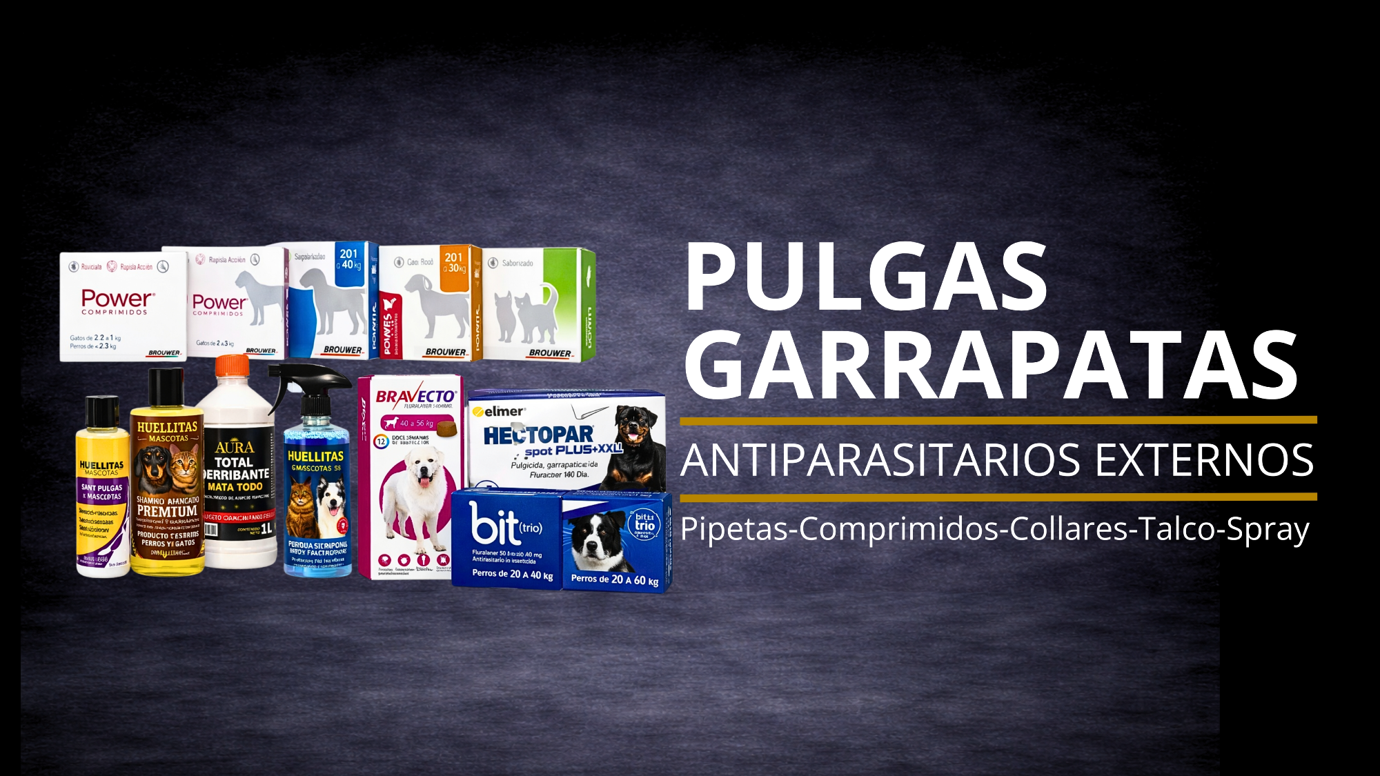Pulgas y Garrapatas