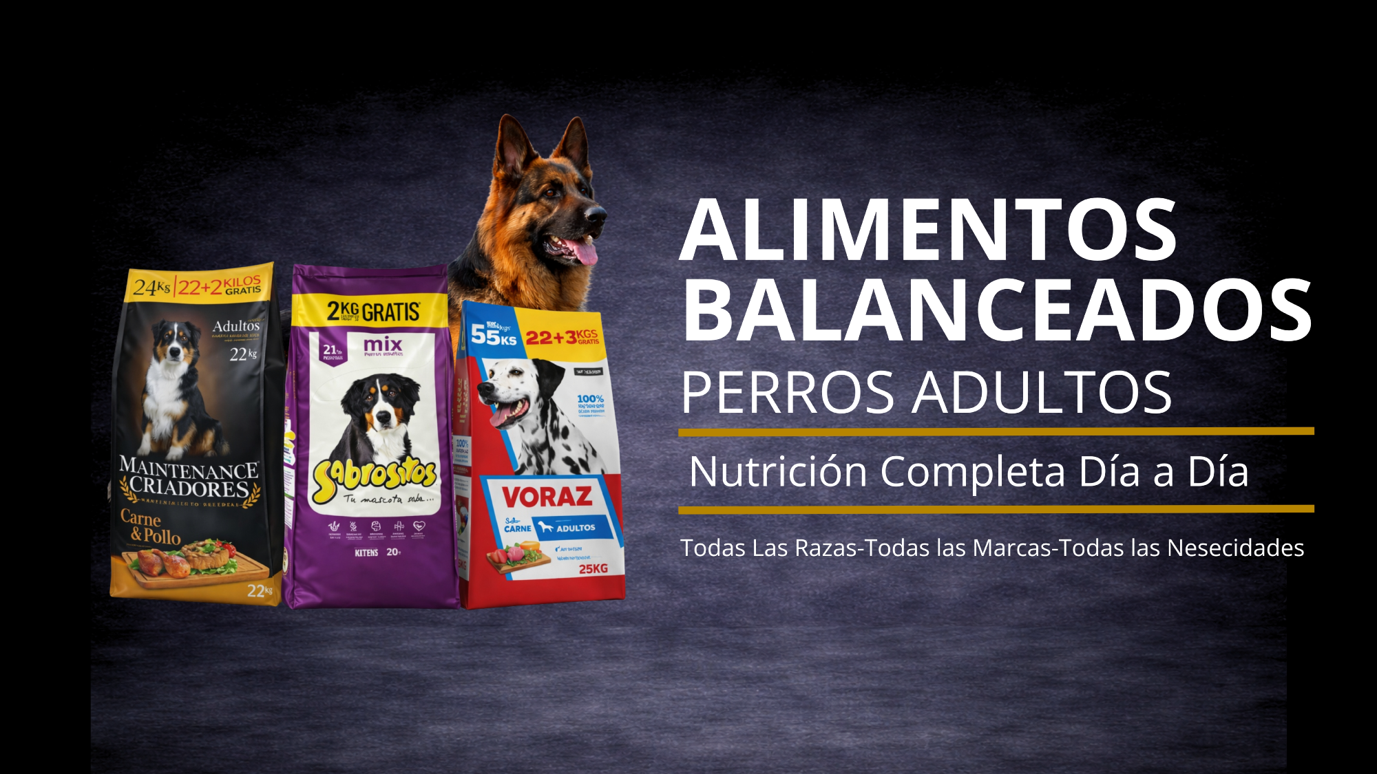 Alimentos Perros Adultos