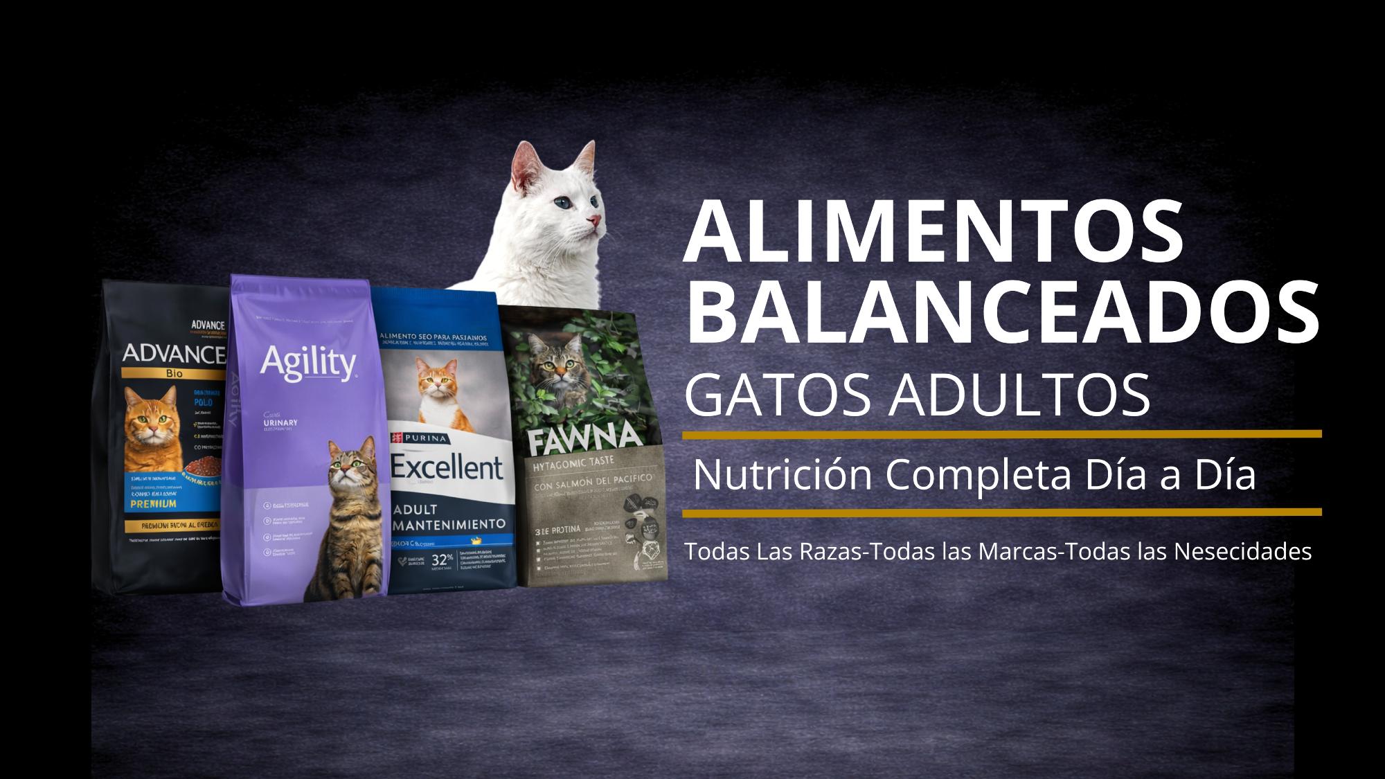 Alimentos Gatos Adultos