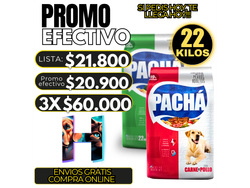 Pacha Perro Adulto x22kg