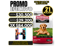 Dog Selectión Criadores Adulto x 21kg