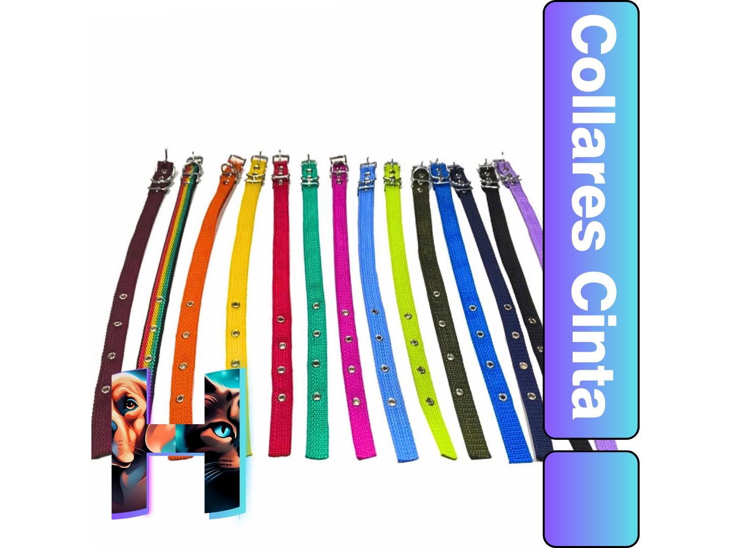 Collares Cinta