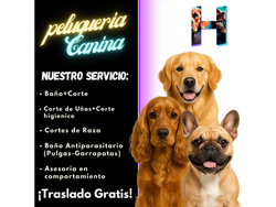 Corte y Baño Para Mascotas