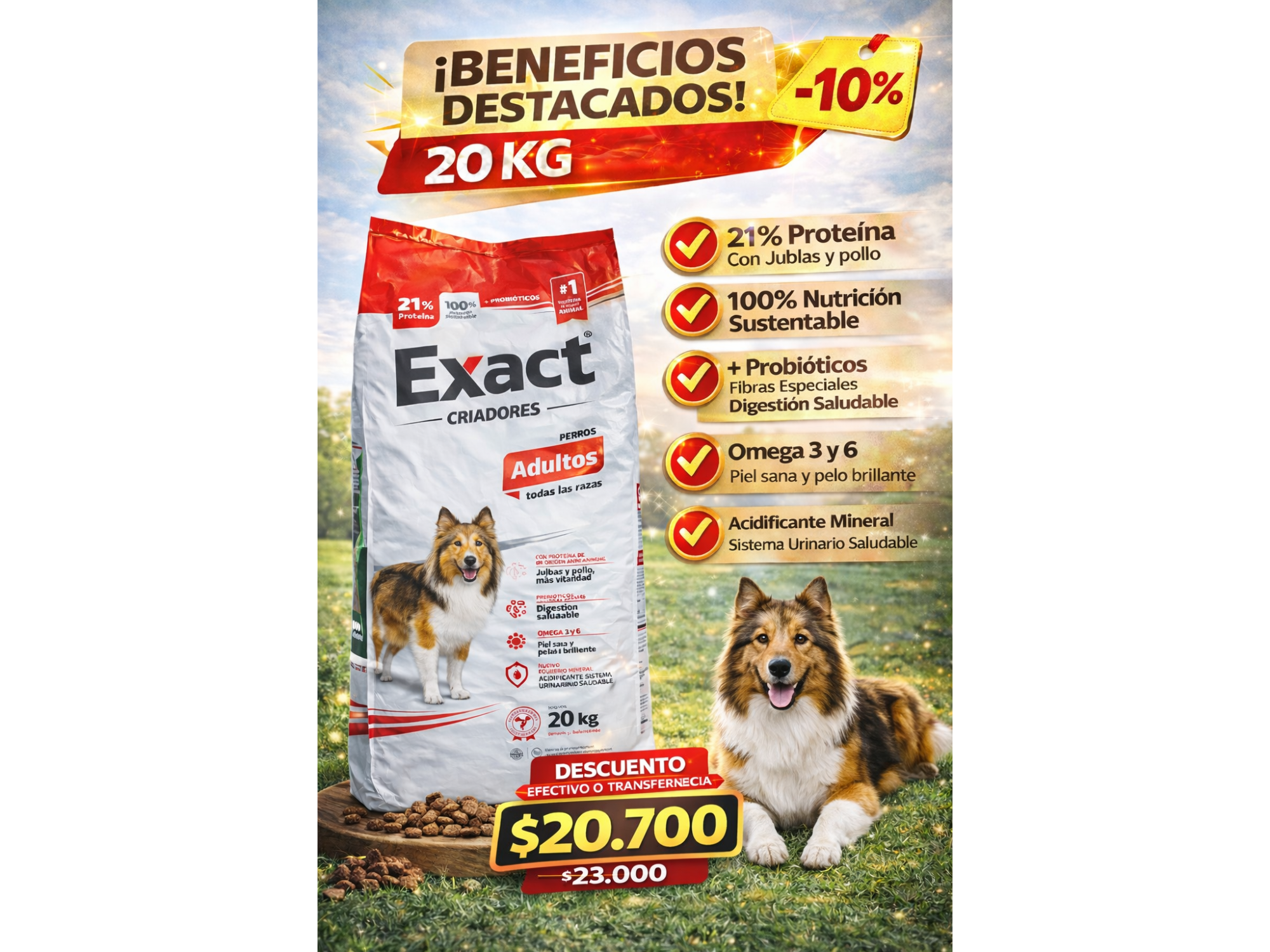 Exact Criadores Adulto 20kg