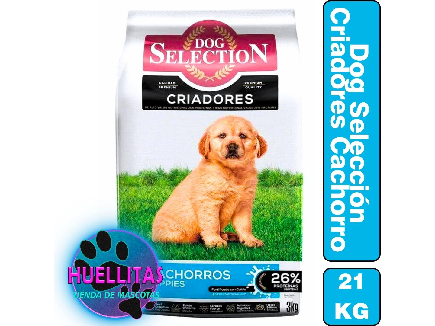 Dog selection Criadores Cachorro × 21 Kg