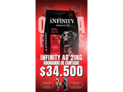 Infinity Perro Adulto x21kg