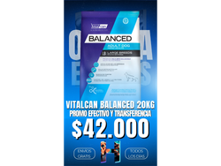Oferta Express VitalCan Balanced Large 20Kg