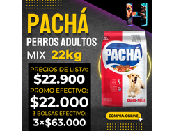 Pacha Perro Adulto x22kg