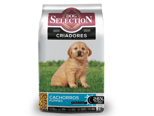 Dog Selection Criadores Cachorros 21kg