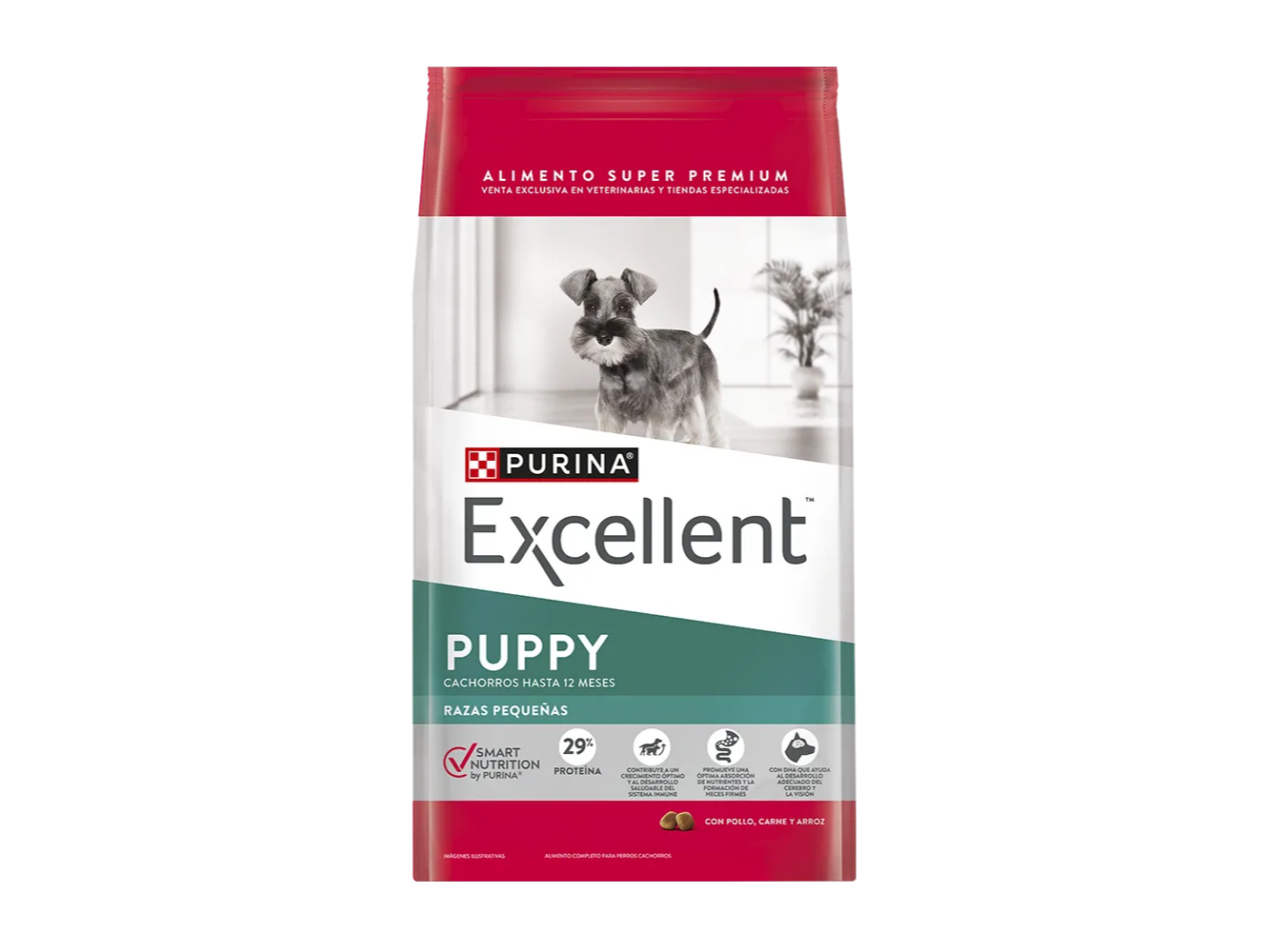 Excellent puppy raza pequeña 3kg