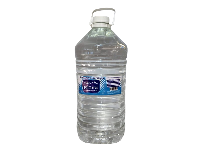 AGUA PALMARES X6000CC