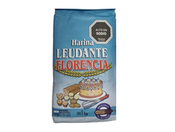 HARINA LEUDANTE FLORENCIA 10X1KGRS