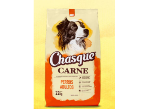 CHASQUE PERRO