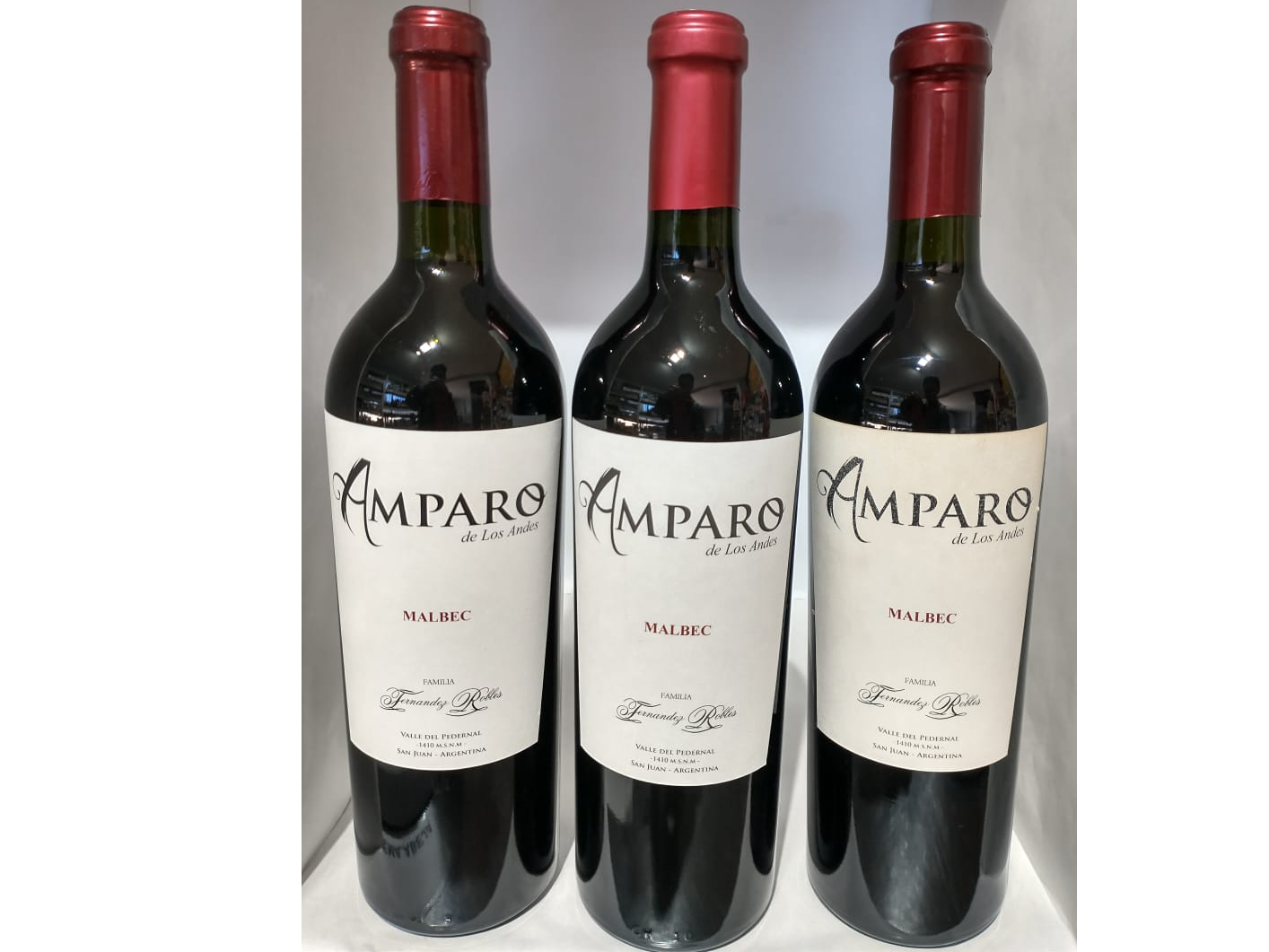 VINO AMPARO DE LOS ANDES MALBEC 3X750 CC