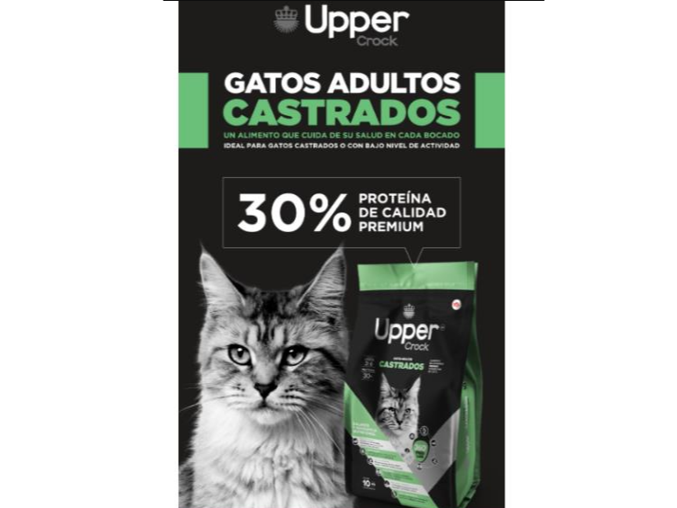 UPPER CROCK GATO AD CASTRADO X10KGRS