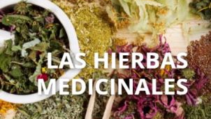 Hierbas medicinales
