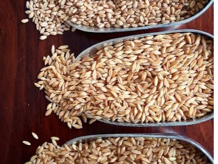 Trigo candial pelado 1/2 kg