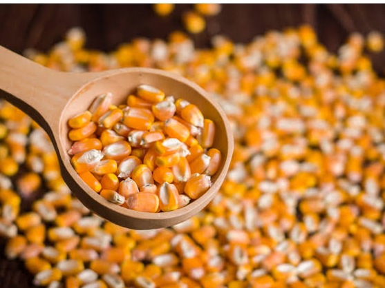 Maiz corolorado partido ( para locro) 1/2 kg