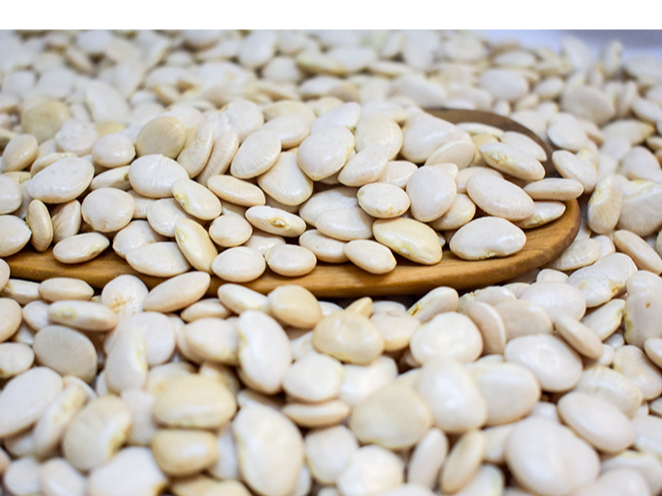 Porotos manteca 1/2 kg